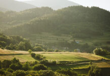 Wakacje w górskiej miejscowości