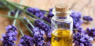 olejek lawendowy