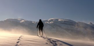 Jakie kije trekkingowe do 200 zł?