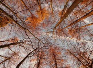 Ile tysięcznych to 360 stopni?