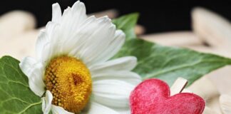 Jak wyczyścić zaciski hamulcowe w rowerze?