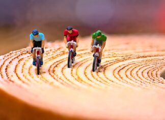 Czy trzeba mieć kartę rowerową na rolki?