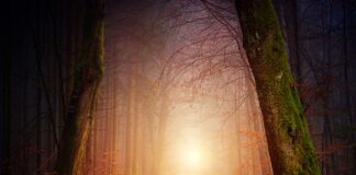 Z której strony pada cień?