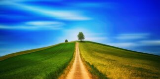 Jakie kije do chodzenia po górach?