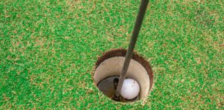 Jaka trawa na Green Golf?