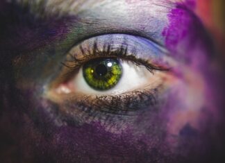 Jak rozpoznać północ i południe?