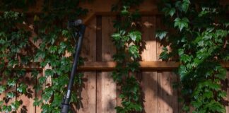 Czy po piwie można jechać hulajnogą?