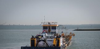 Czy pchacze są zdrowe dla dzieci?