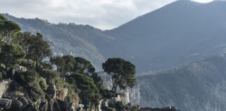 Ile kosztuje body dla dziecka?