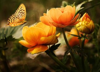 Co zrobić ze starym srebrem?