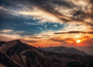 Ile można kupić złota bez podatku?