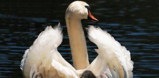 Czy fotelik od wózka jest bezpieczny?