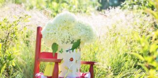 Co daje Bujak Montessori?