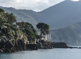 Ile kosztuje 1 gram złota próba 585?