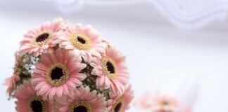 Czy można pić na chrzciny?