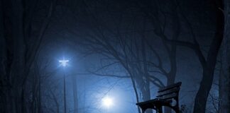 Czy Yes to polska firma?