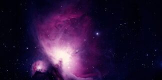 Jak wspomóc dziecko w nauce chodzenia?