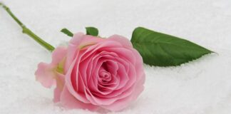 Jak ubrać się na komunię córki?