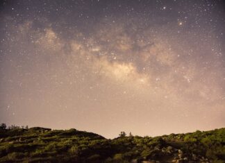 Czy w Pandorze można się kąpać?