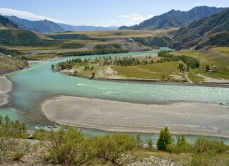 Jakie nakrycie głowy miał fuzji z Muppetów?