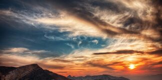 Jaka jest cena złota za gram?