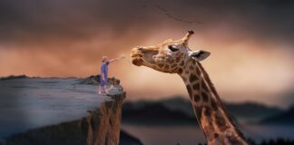 Ile czasu powinno trwac karmienie butelką?