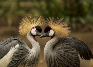 Jak zrobić jesienne nakrycie głowy?